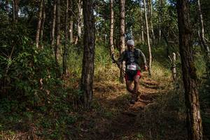 BIB: 1274
                            <button type="button" onclick="openModal(22280798)" class="btn btn-primary btn-sm float-right btn-popup" data-toggle="modal" data-target=".modal-high-quality">
                        <i class="fas fa-shopping-cart"></i> Add to Cart
                    </button>
                                            <button type="button" onclick="isThisMe(22280798, true)" class="btn btn-success btn-sm float-right btn-popup btn-isme hidden" data-toggle="tooltip" data-placement="bottom" title="นี่คือรูปของคุณใช่ไหม คลิกที่นี่เพื่อเอาเข้าอัลบั้ม">
                        <i class="fas fa-plus"></i> Add to album
                    </button>
                    <button type="button" onclick="isThisMe(22280798, false)" class="btn btn-warning btn-sm float-right btn-popup btn-isnotme hidden">
                        <i class="fas fa-ban"></i> Remove from album
                    </button>